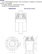 CKZF-B非接触式单向离合器